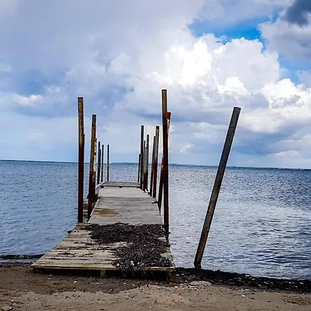 26 Person In Roslev-by Traum * Åsted