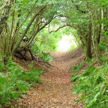 26 Person In Roslev-by Traum * Åsted